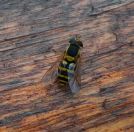 077.jpeg - 2019:09:30 11:32:01