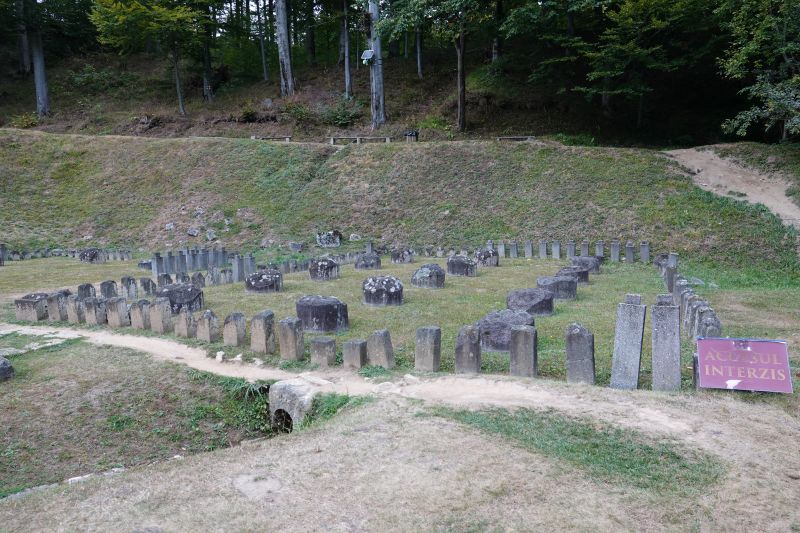 Viewing photos→2019→2019-09-29→089