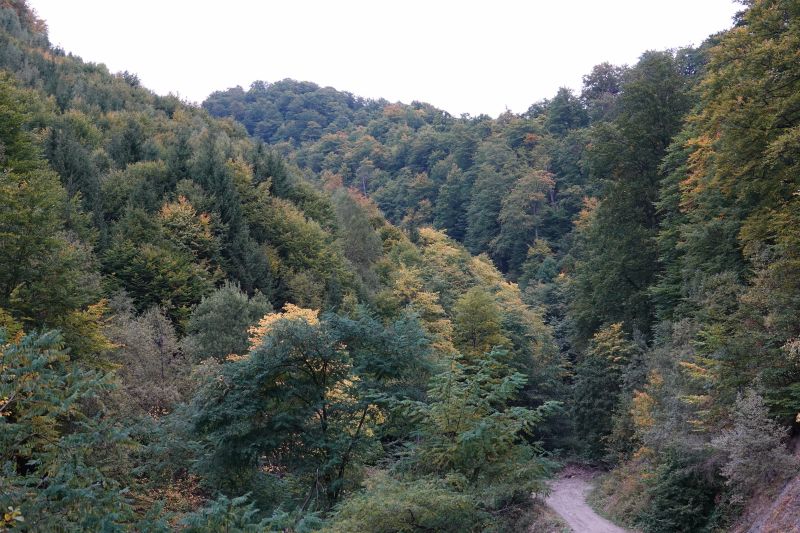 Viewing photos→2019→2019-09-29→097