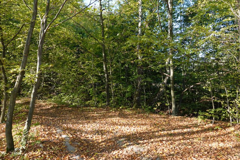 Viewing photos→2019→2019-09-29→103