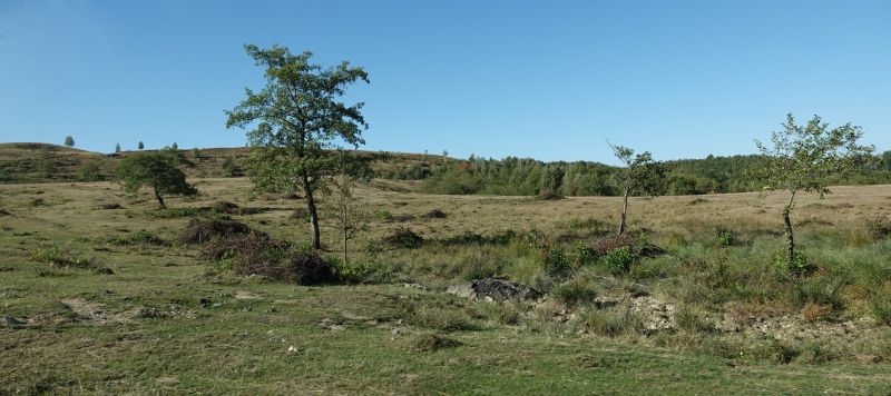 Viewing photos→2019→2019-09-29→104