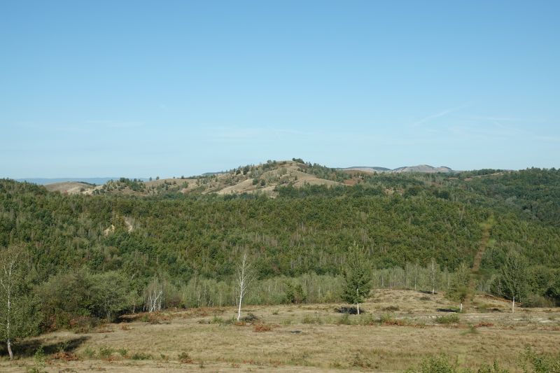 Viewing photos→2019→2019-09-29→106