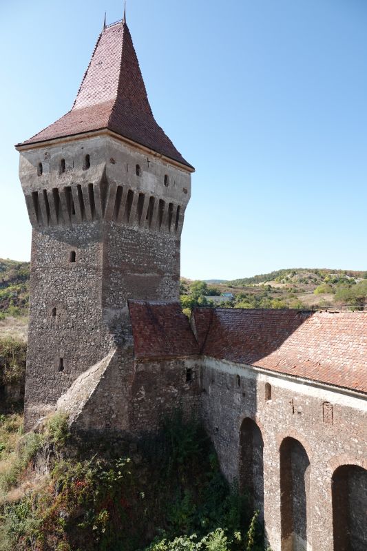 Viewing photos→2019→2019-09-29→136