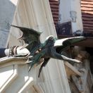 151.jpg - 2019:10:01 10:44:14