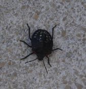 152.jpeg - 2019:10:01 10:45:20