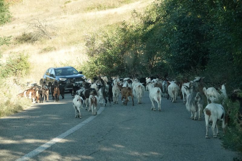 Viewing photos→2019→2019-09-29→179