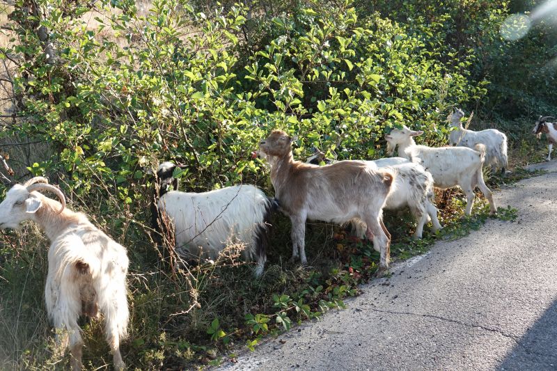 Viewing photos→2019→2019-09-29→181