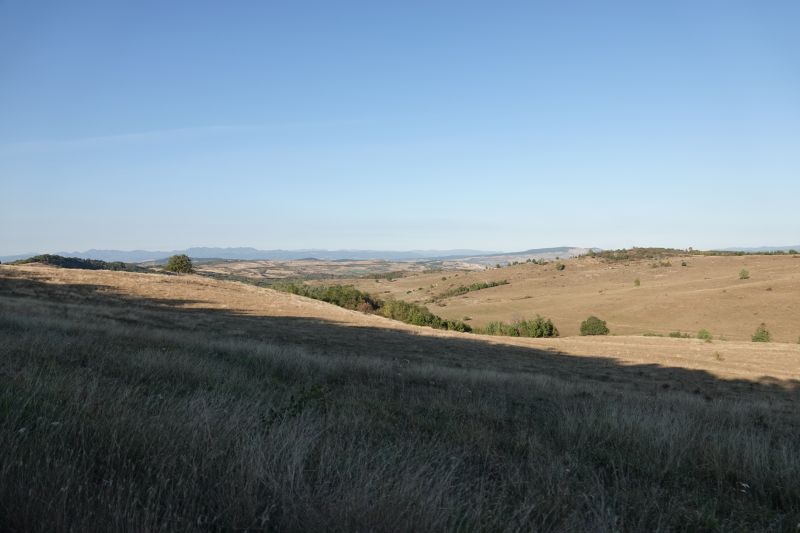 Viewing photos→2019→2019-09-29→183