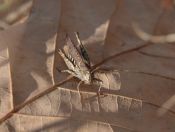 191.jpeg - 2019:10:02 07:47:33