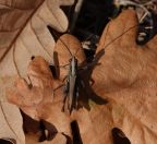 192.jpeg - 2019:10:02 07:47:47