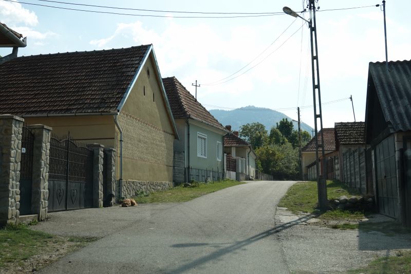 Viewing photos→2019→2019-09-29→206