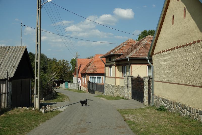 Viewing photos→2019→2019-09-29→211