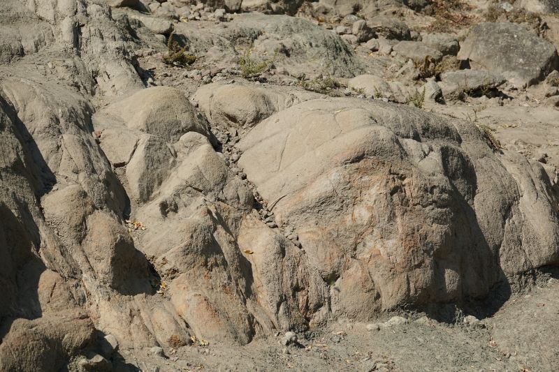 Viewing photos→2019→2019-09-29→217