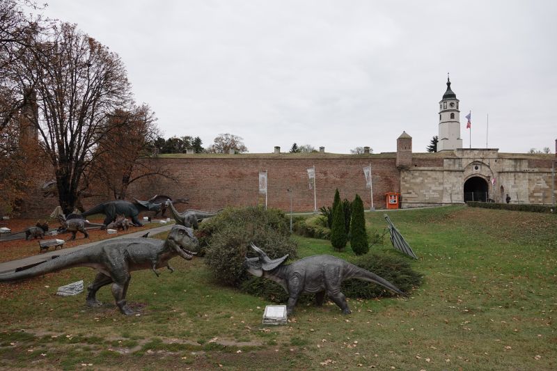 Viewing photos→2019→2019-10-03→006