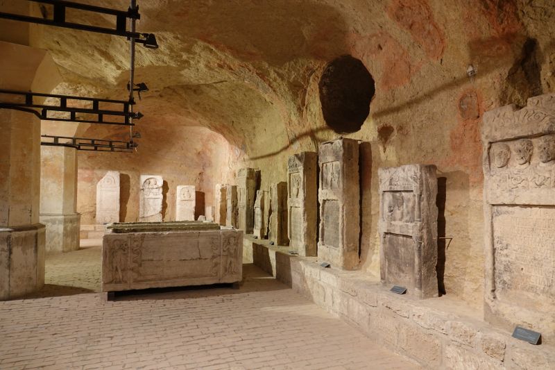 Viewing photos→2019→2019-10-03→053