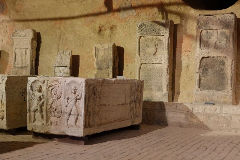 Viewing photos→2019→2019-10-03→055