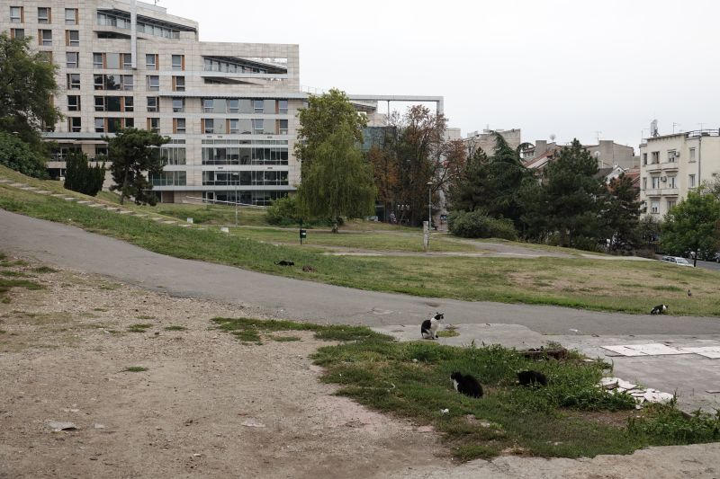 Viewing photos→2019→2019-10-03→073