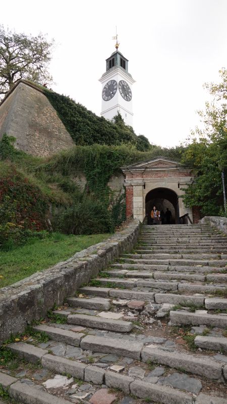 Viewing photos→2019→2019-10-06→22