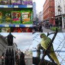 2019-12-22 - 2019-12-29<br/>
<b>London</b>
