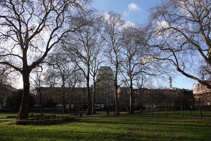 Viewing photos→2019→2019-12-22→024