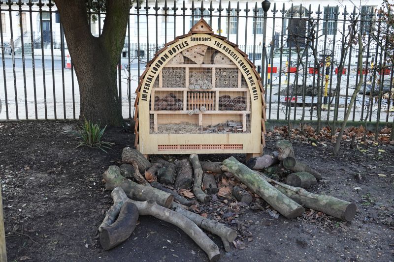 Viewing photos→2019→2019-12-22→026