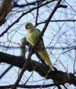 086.jpeg - 2019:12:29 12:16:31