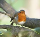 088.jpeg - 2019:12:29 12:26:12