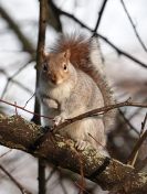 090.jpeg - 2019:12:29 12:27:11