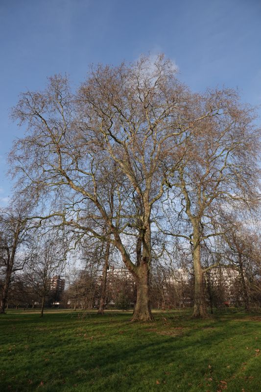 Viewing photos→2019→2019-12-22→091