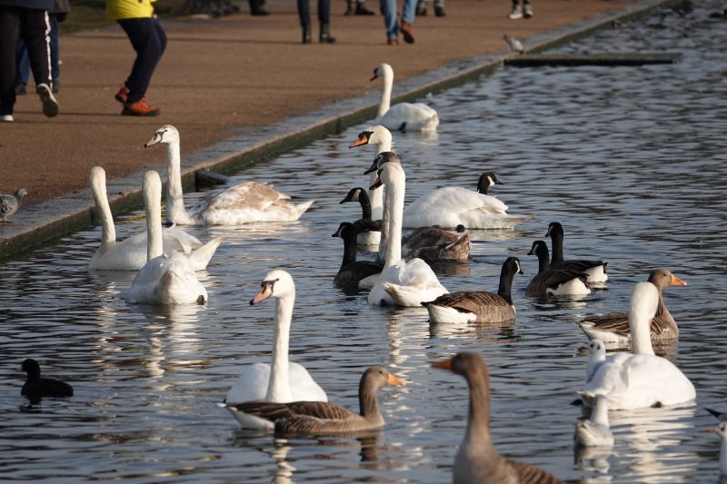 Viewing photos→2019→2019-12-22→098