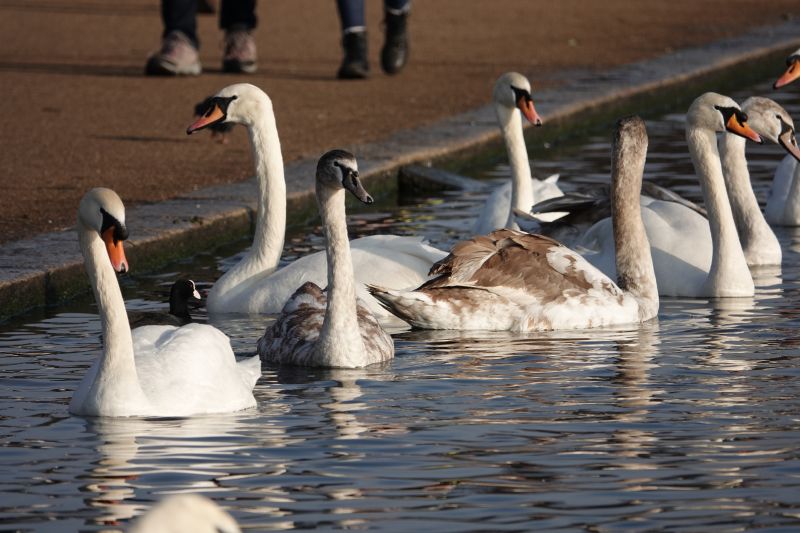 Viewing photos→2019→2019-12-22→100