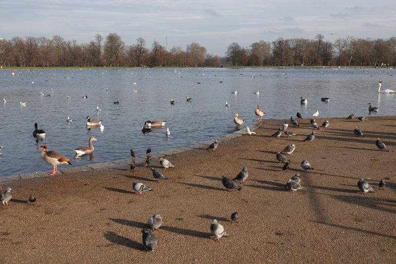 Viewing photos→2019→2019-12-22→101