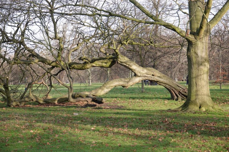 Viewing photos→2019→2019-12-22→105