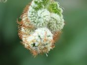 01.jpg - 2020:02:08 13:25:57