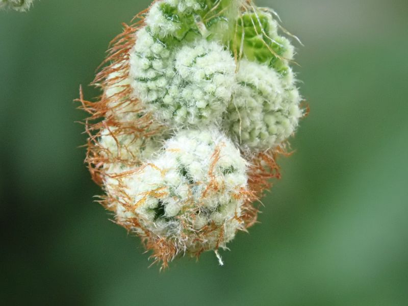 Viewing photos→2020→2020-02-08→01