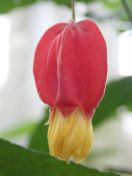 03.jpg - 2020:02:08 13:28:09