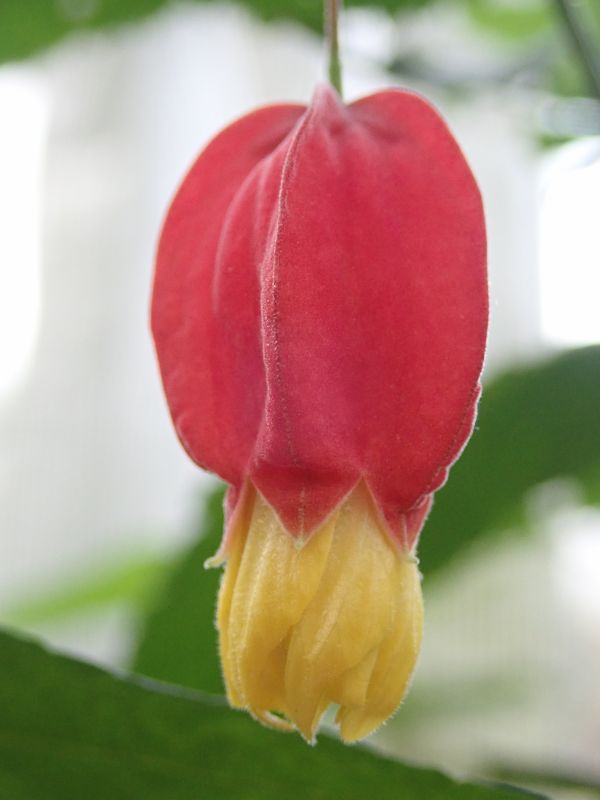 Viewing photos→2020→2020-02-08→03