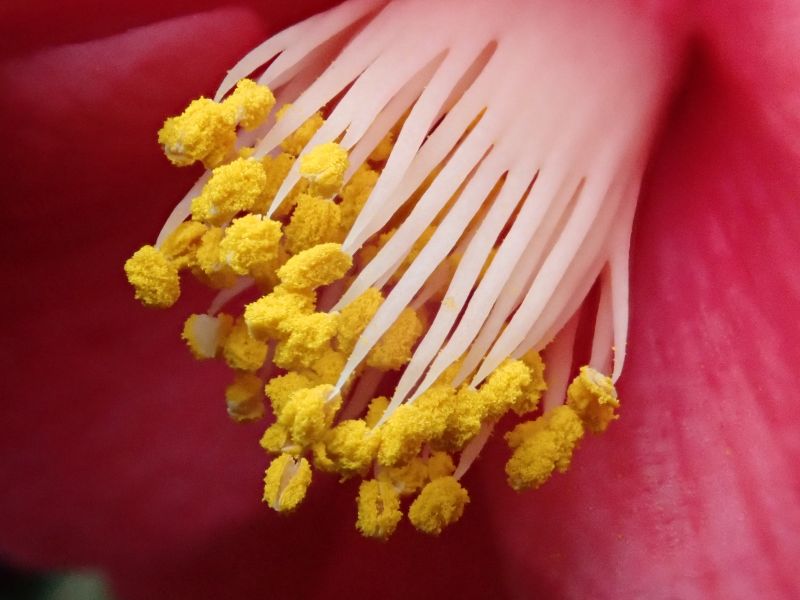 Viewing photos→2020→2020-02-08→04