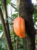 05.jpg - 2020:02:08 13:31:51