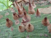 06.jpg - 2020:02:08 13:33:41