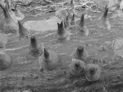 07.jpg - 2020:02:08 13:35:27