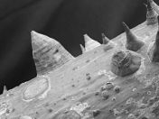 09.jpg - 2020:02:08 13:36:34