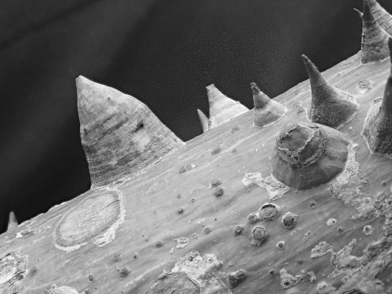 Viewing photos→2020→2020-02-08→09