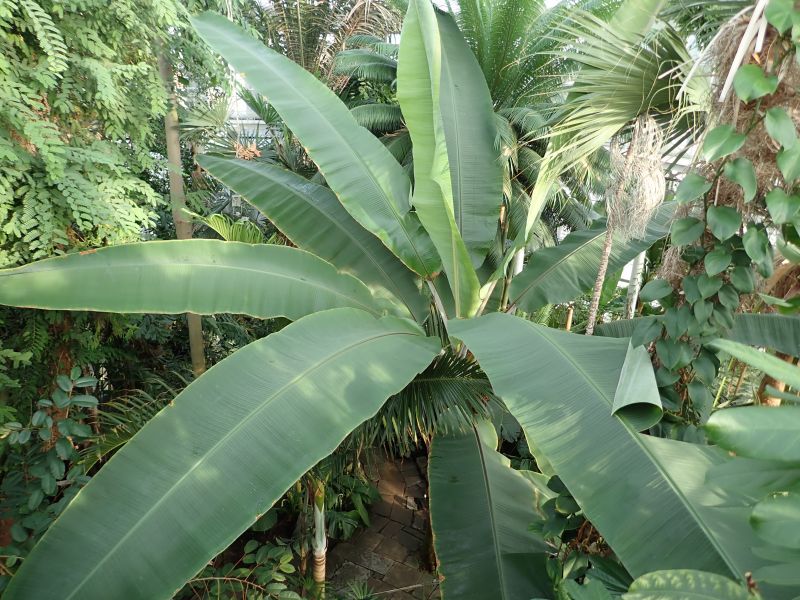 Viewing photos→2020→2020-02-08→10