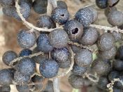 11.jpg - 2020:02:08 13:38:14