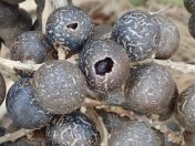 12.jpg - 2020:02:08 13:39:12