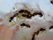 14.jpg - 2020:02:08 13:41:17