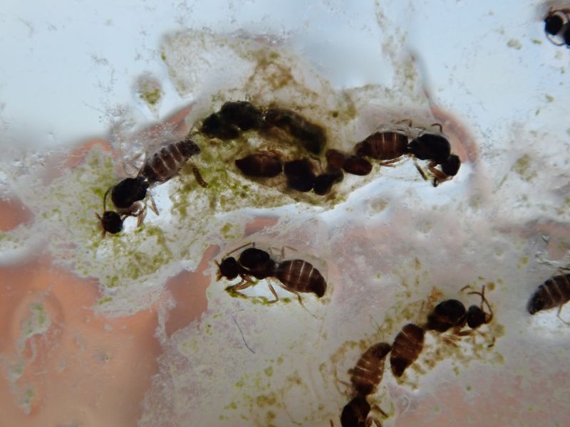 Viewing photos→2020→2020-02-08→14