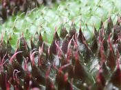 16.jpg - 2020:02:08 13:46:31