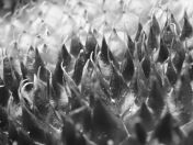 17.jpg - 2020:02:08 13:46:49